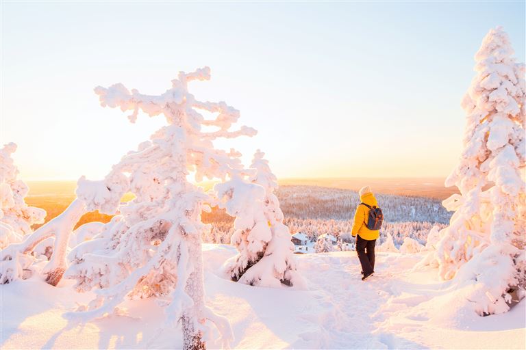 Winterträume im hohen Norden ©BlueOrange Studio/adobestock